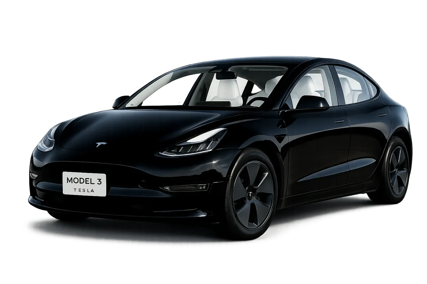 Tesla Model 3 — Okinawa rental