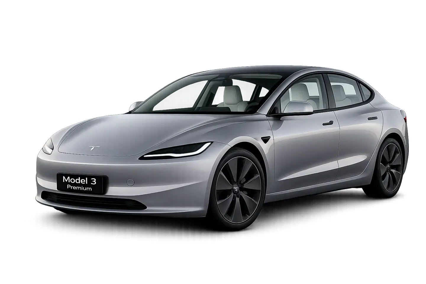 Tesla Model 3 Premium — Okinawa rental